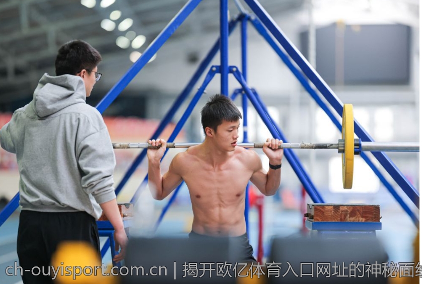 揭开欧亿体育入口网址的神秘面纱与优势